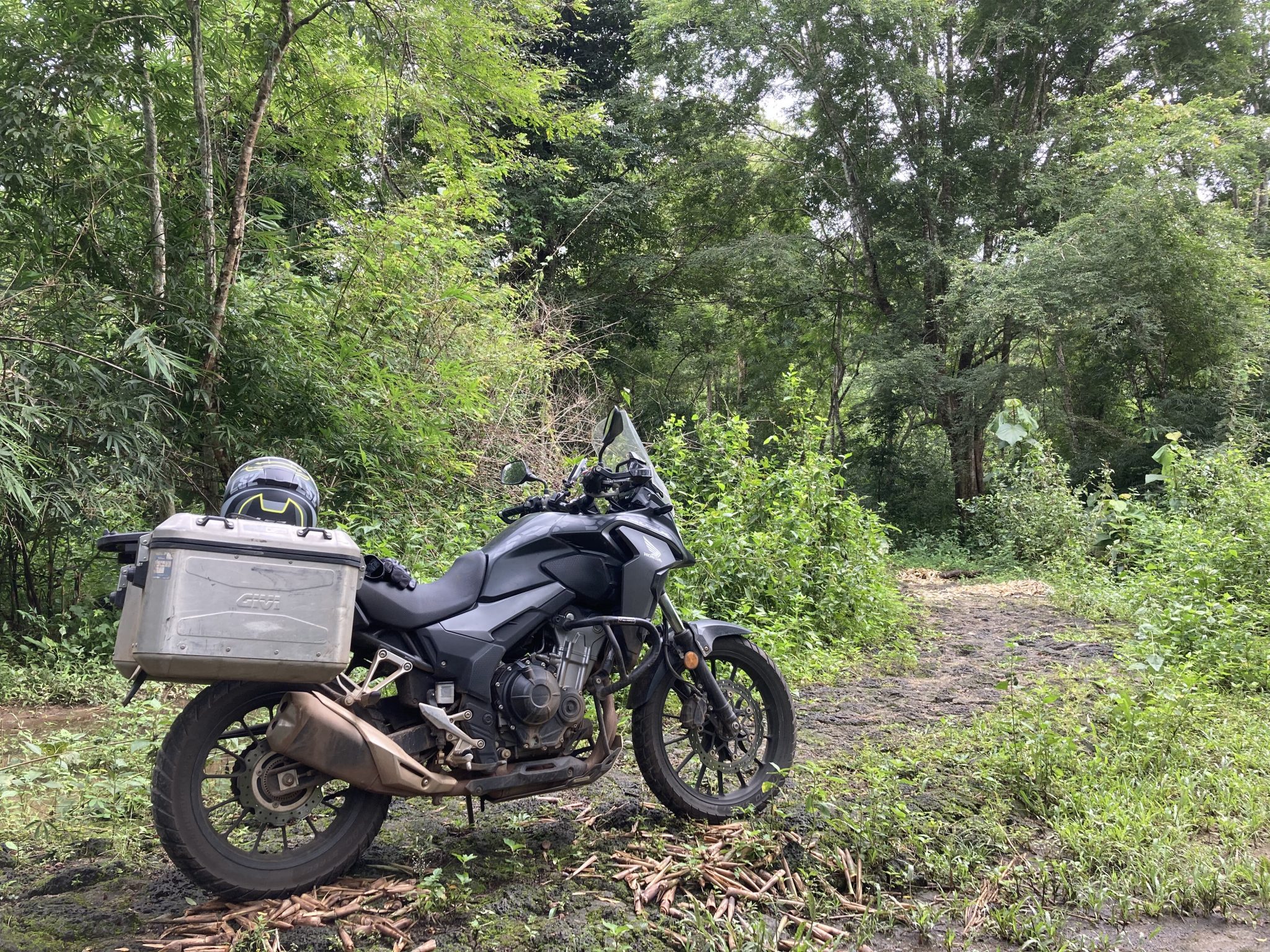 Review VersysX 300 vs CB500X Gearhead